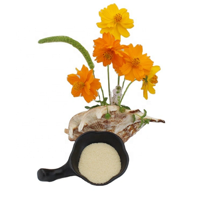 factory food grade halal beef gelatin powder food grade suppliers high-quality powder gelatin with best price